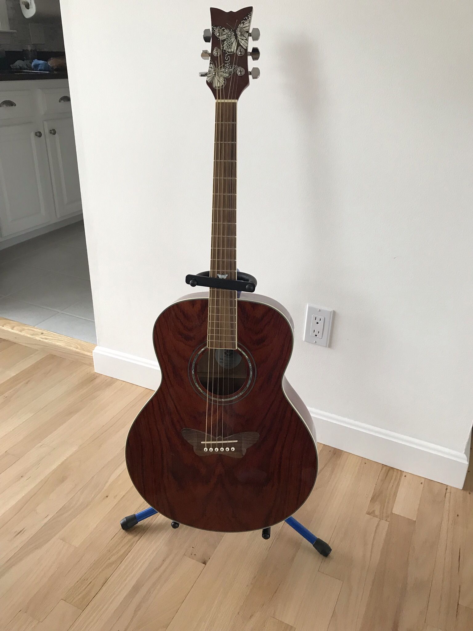 Brand New Guitar  Plus Hard Case