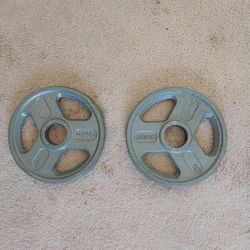 10 Lb Weider Olympic Hammertone Weight Plates