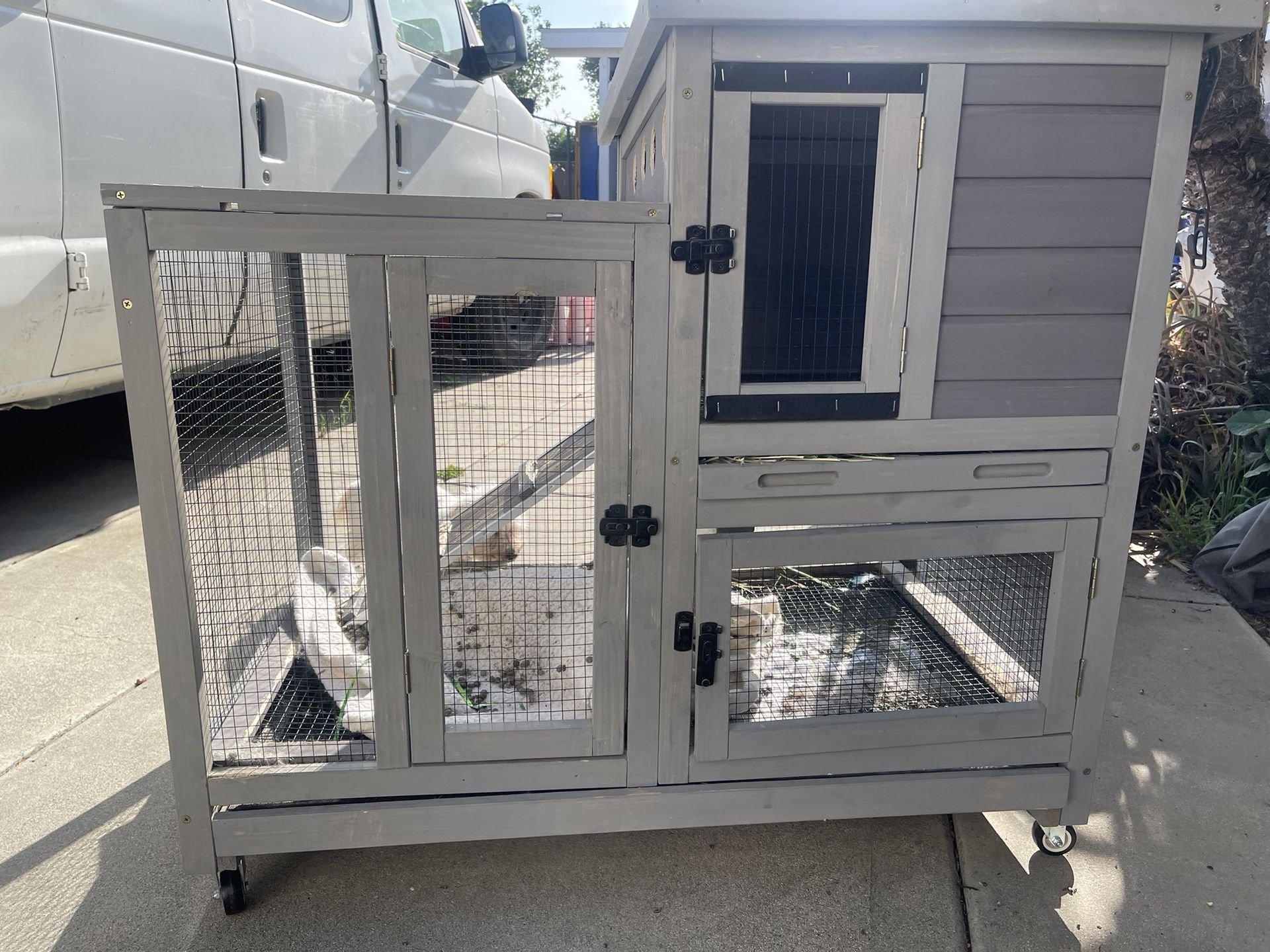 Bunny House