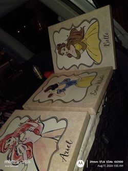 Princess hand painted canvass paintings