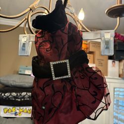 Halloween Pet Costume 