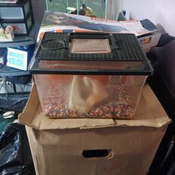 Plastic Fish Or Reptile Tank