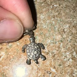 Beautiful Turtle Necklace/charm
