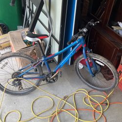 Giant Aluxx Young Adult Bicycle 