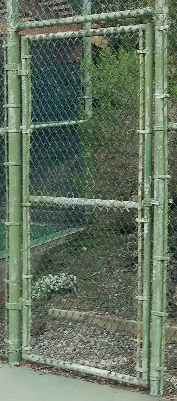 10' tall vinyl chain link fence gates