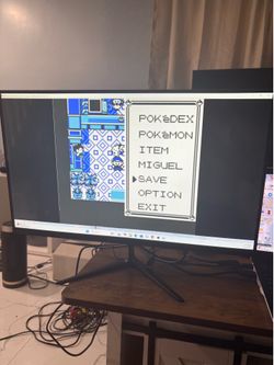 HDMI Monitor