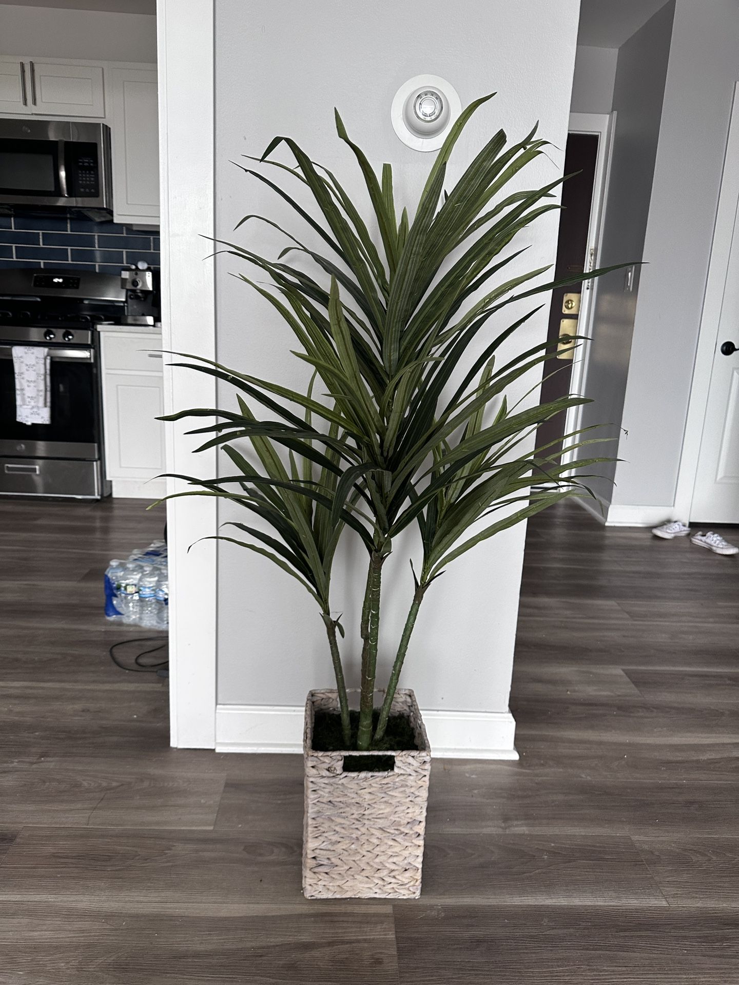 Fake Tall Plant
