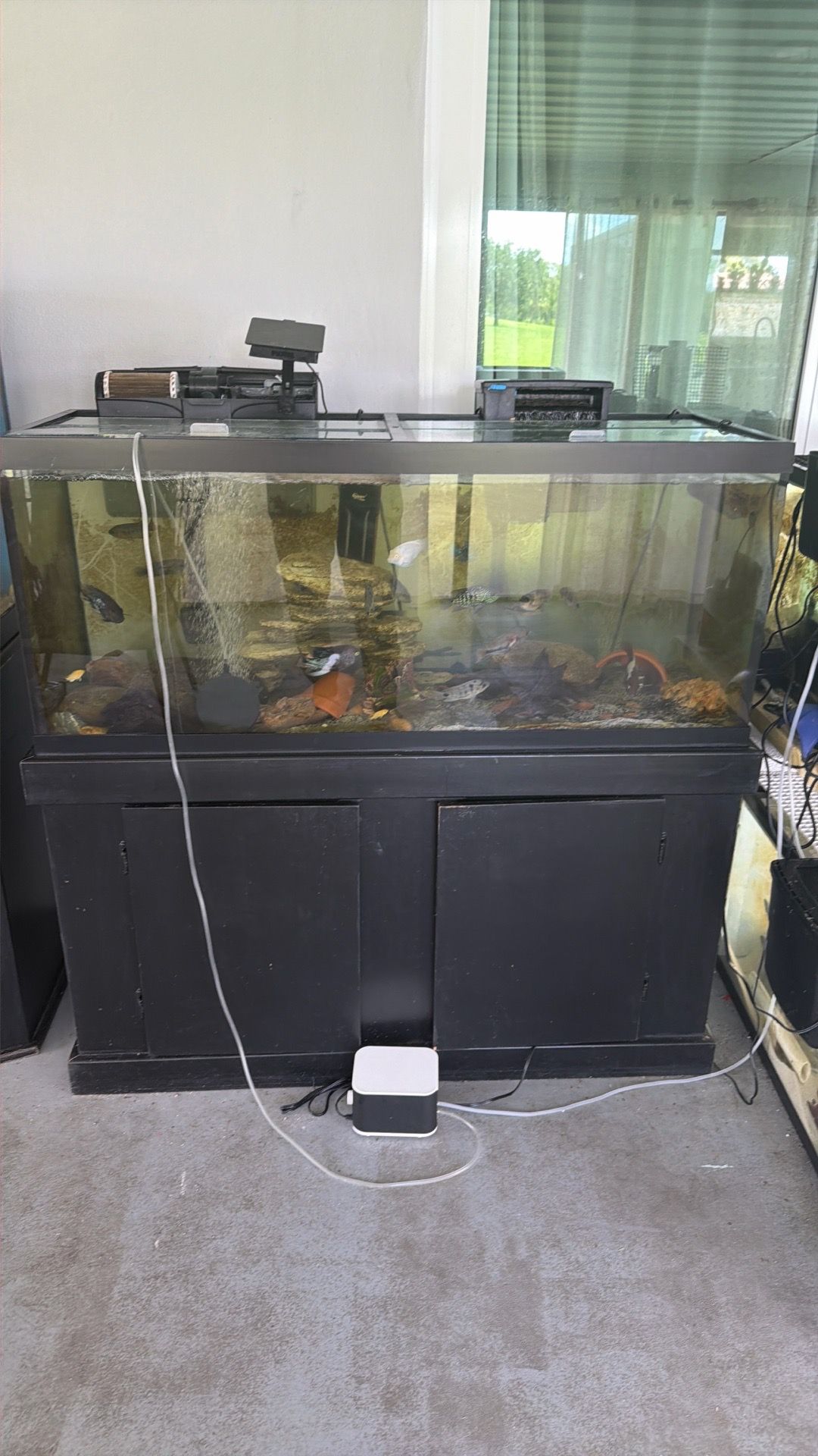 75 gallons fish tank and stand