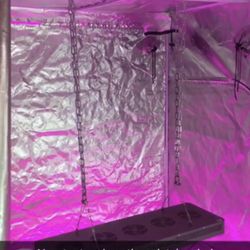 Platnium Led P900 Grow Light 