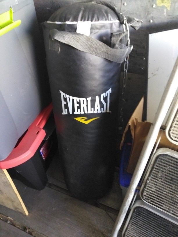 Everlast Punching Bag