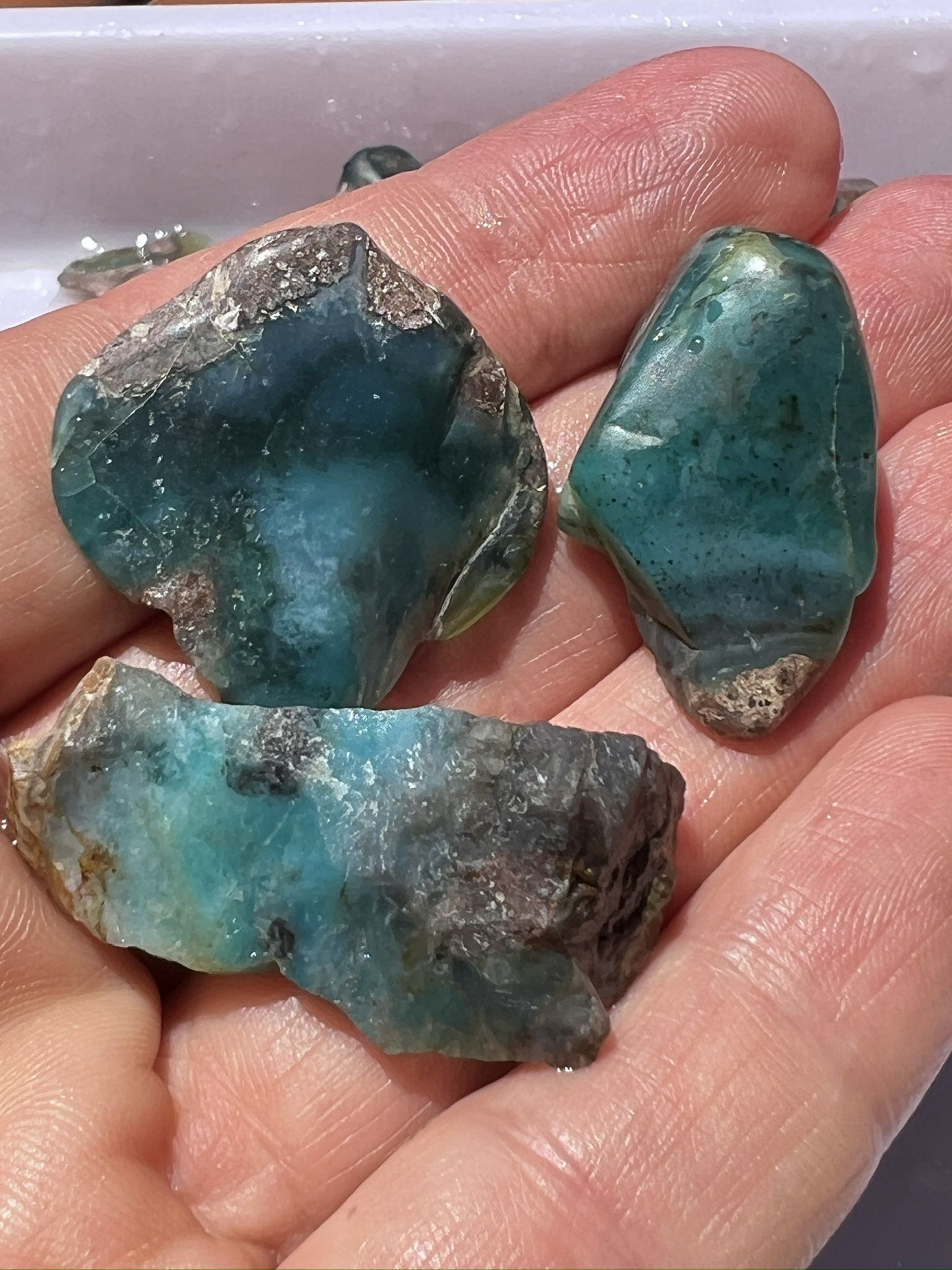 Needles Blue Gem Silica Cutting Parcel