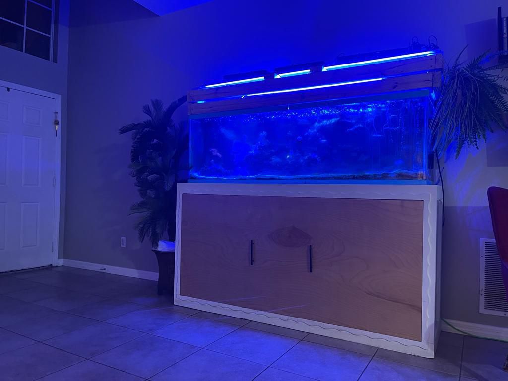 130 Gal Fish Tank With Stand