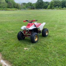 Yamaha Warrior 350