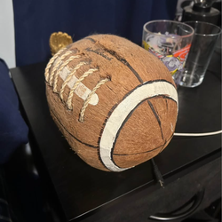 Coconut football bank