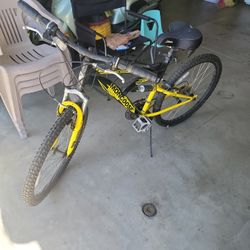 Mountain Bike
