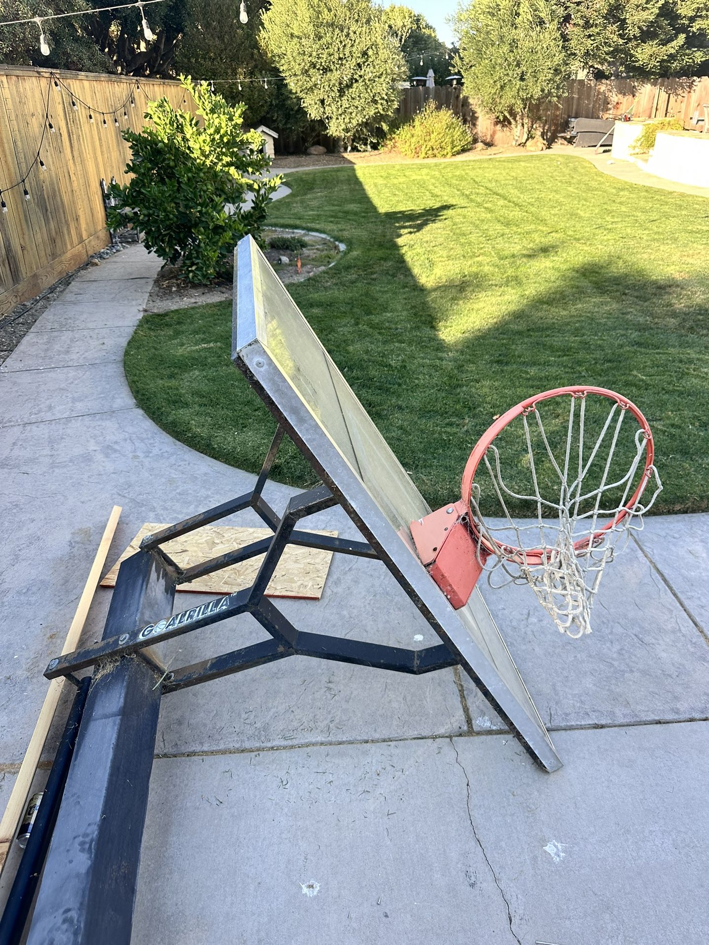 Goalrilla Basketball Hoop