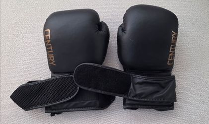 Boxing gloves 14 oz