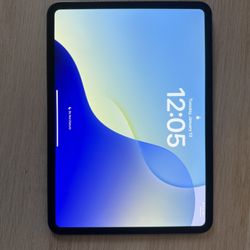 iPad Pro 11’ M4 256gb