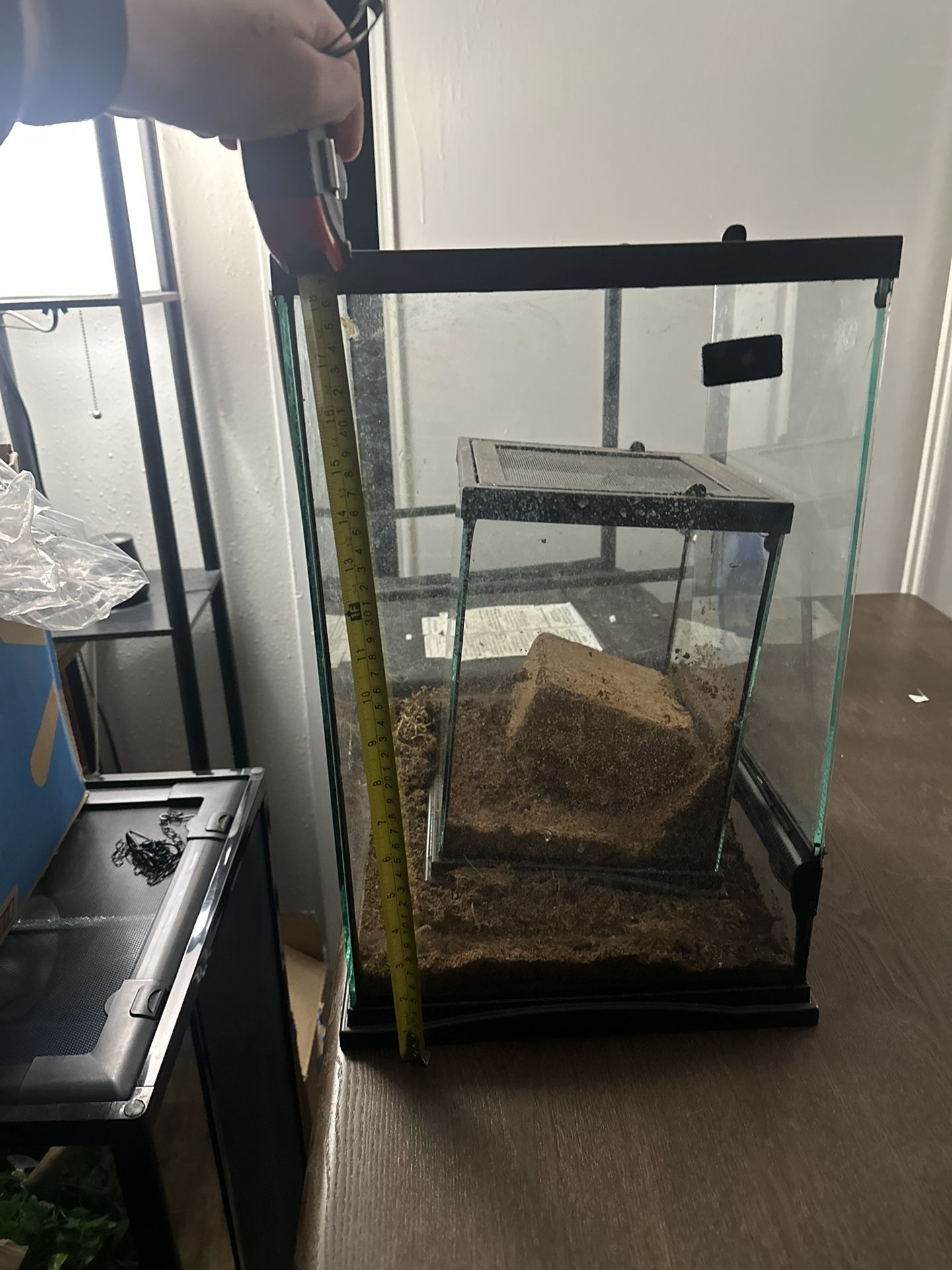 2 Terrariums, 1 Small, 1 Medium-large