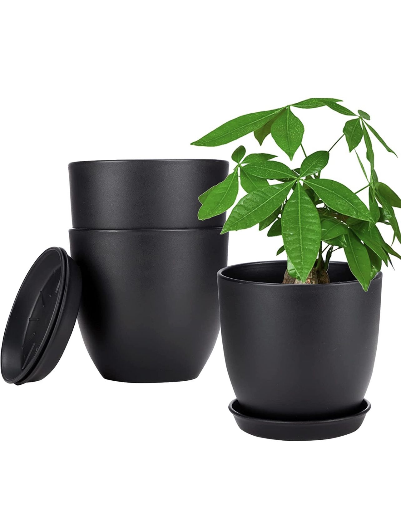Planters Pot | Set of 3