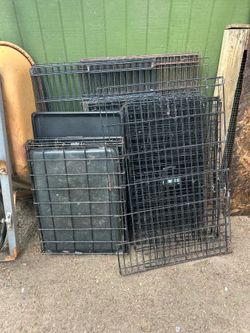 Dog gates￼