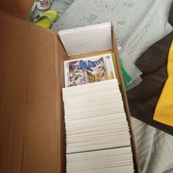 1991 Upperdeck Hockey Sports Cards For The Whole Box