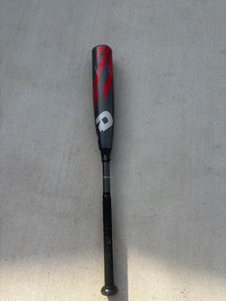 baseball bat