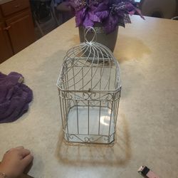 Bird Cage