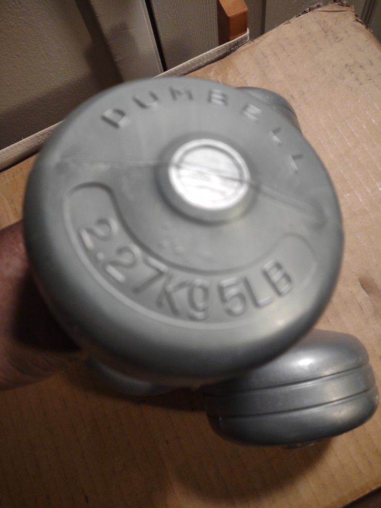 Set Of Two  Gray 5 Lb Dumbbell Weights
