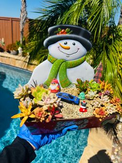 Snowman Holiday Succulent Arrangement