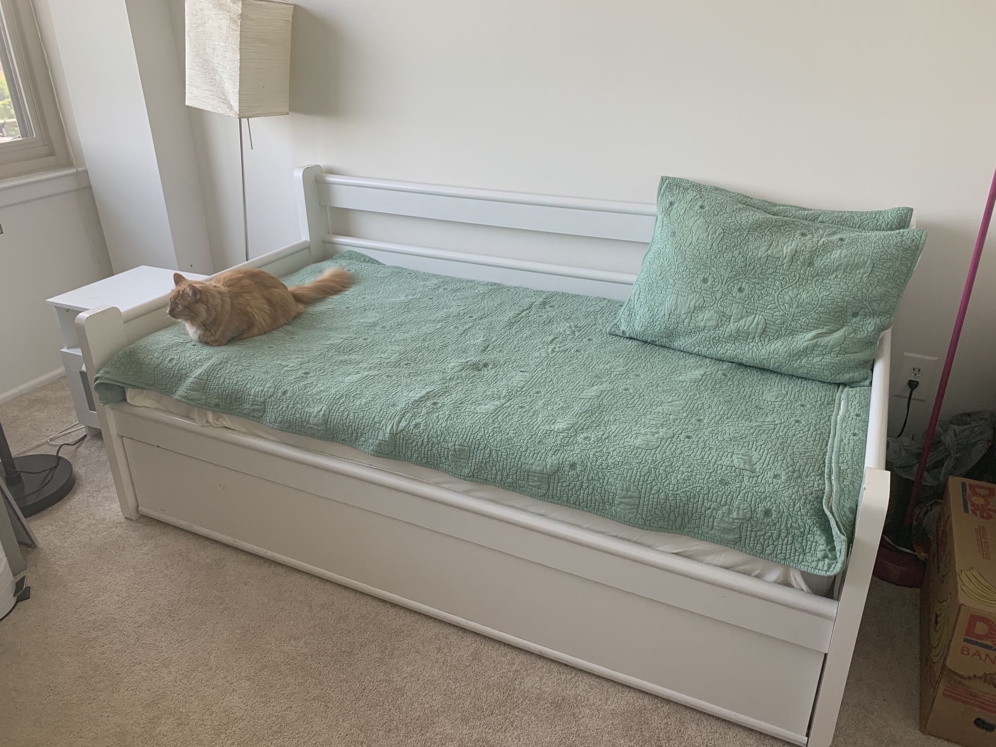 Kid’s Trundle Bed