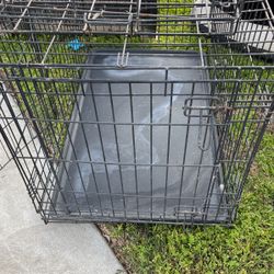 Dog Kennels 