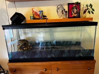 Aquarium/terrarium