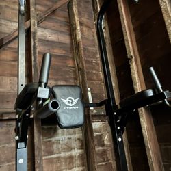 Citybirds Power Tower DIP Station Pull up Bar for Home Gym