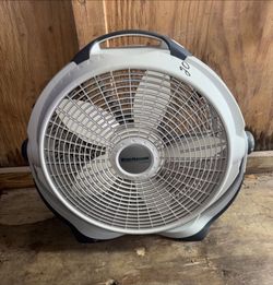 Fan