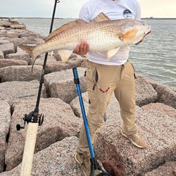 Shark Drum Bull Redfish Fishing Leaders