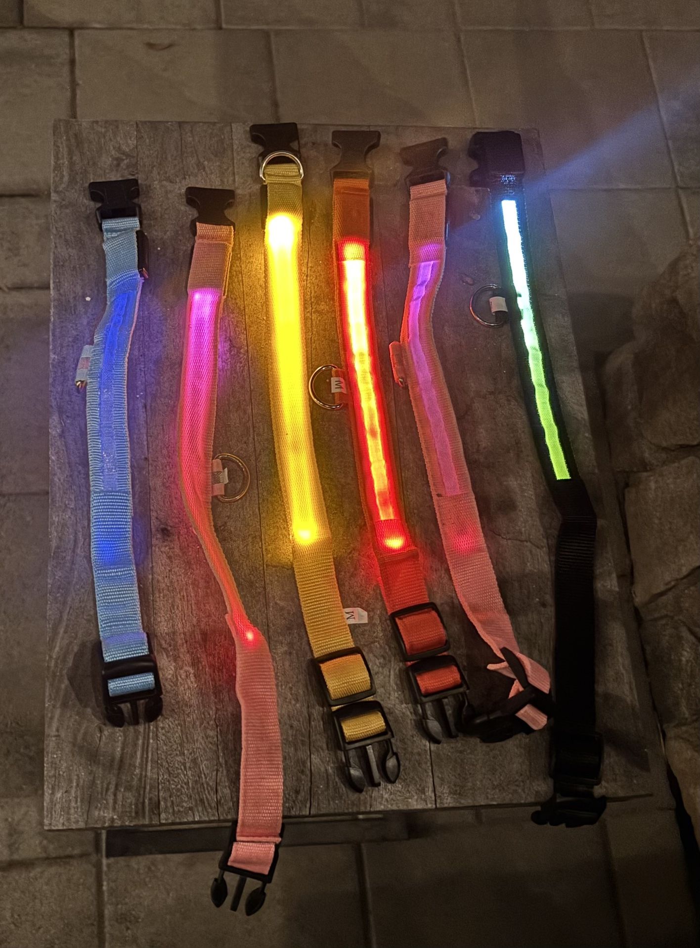 Dog Collars (Lighted)