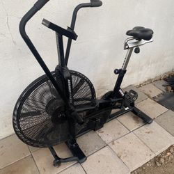 Rogue assault Bike