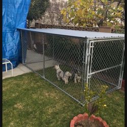 Dog Kennel 