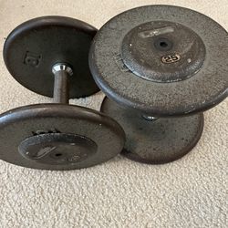 2 Pair 25 Lb Dumbbells 