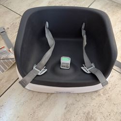 Ingenuity Booster Seat