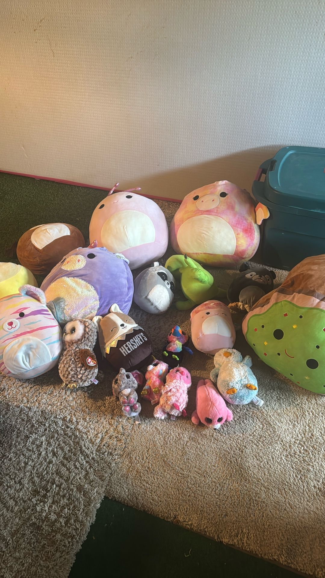 Squish mellows and Beanie Babies