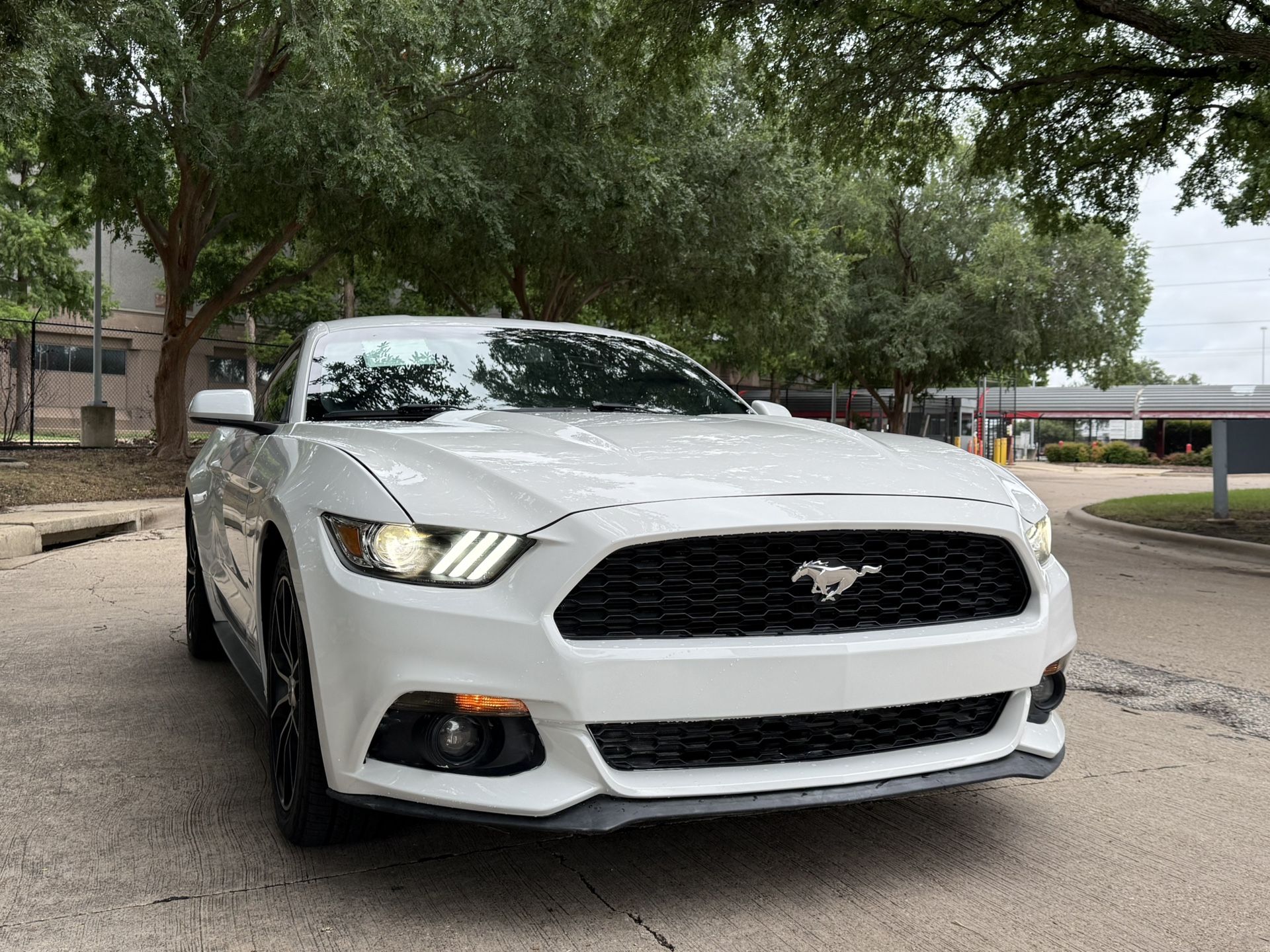 2015 Ford Mustang