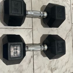 Used 25 Lb Weight Set 