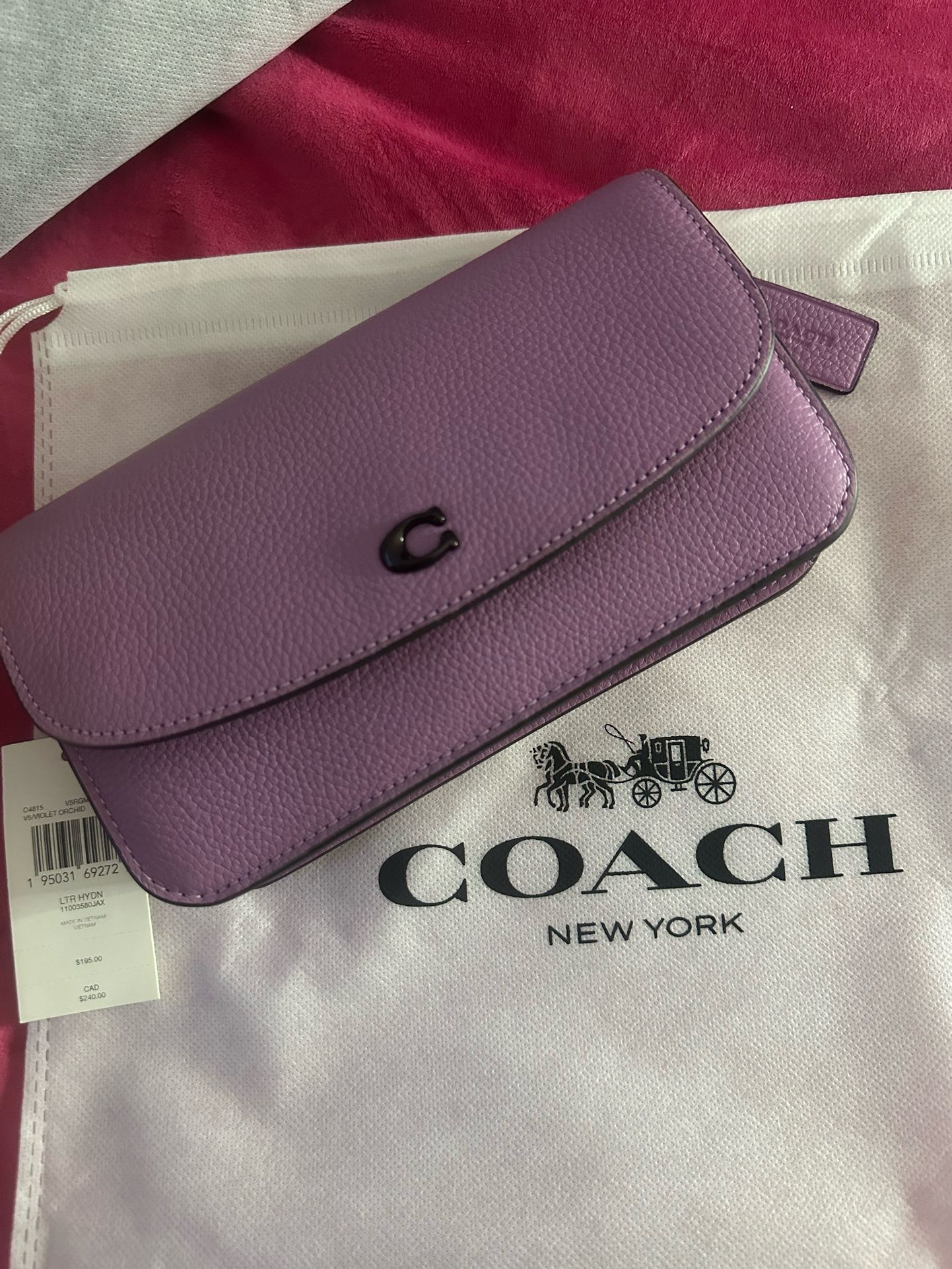 Coach Bag 