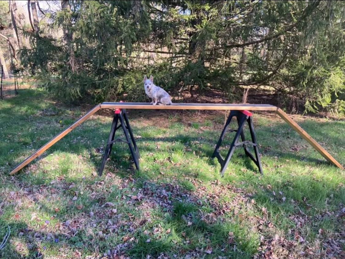 Dog Agility Ramp 