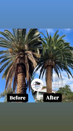 Jun-k And Tre-e Service Contact Me For Free Estimates