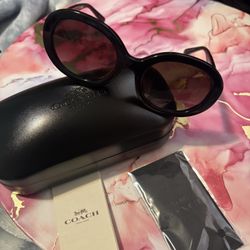 New Coach Sunglasses 