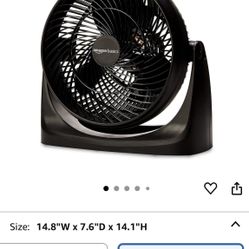 Amazon fan