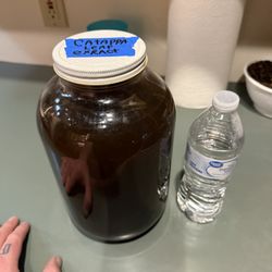 Indian Almond Catappa Leaf Extract For Fish Or Shrimp Aquarium 